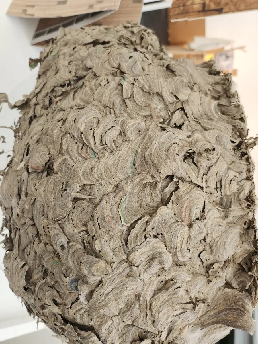 Decay 2024 Gallery Image 82